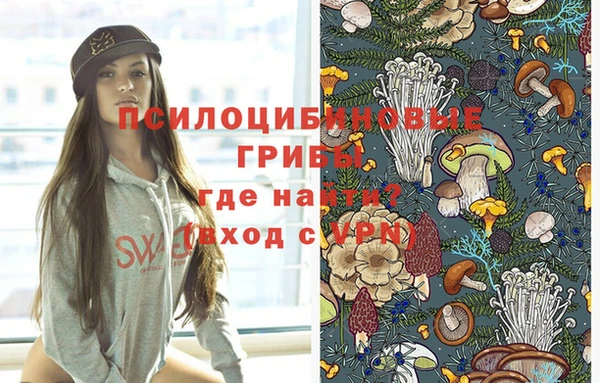 спиды Костерёво