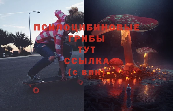 спиды Костерёво