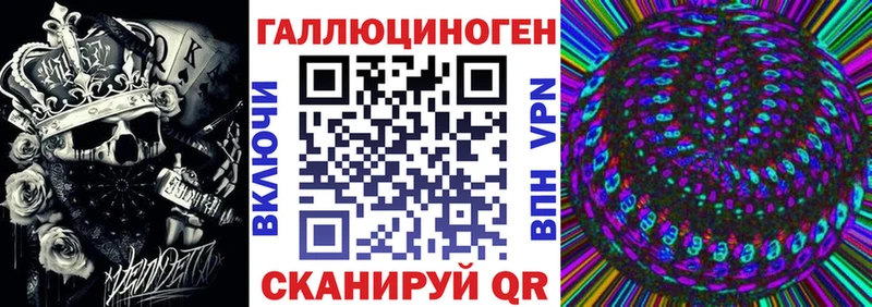 Купить  Осташков  Галлюциногенные грибы Psilocybine cubensis 